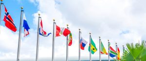 Flags of different countries being hosted and flying