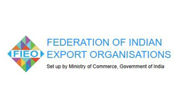 Logo of FIEO