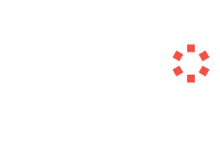 denodo partner